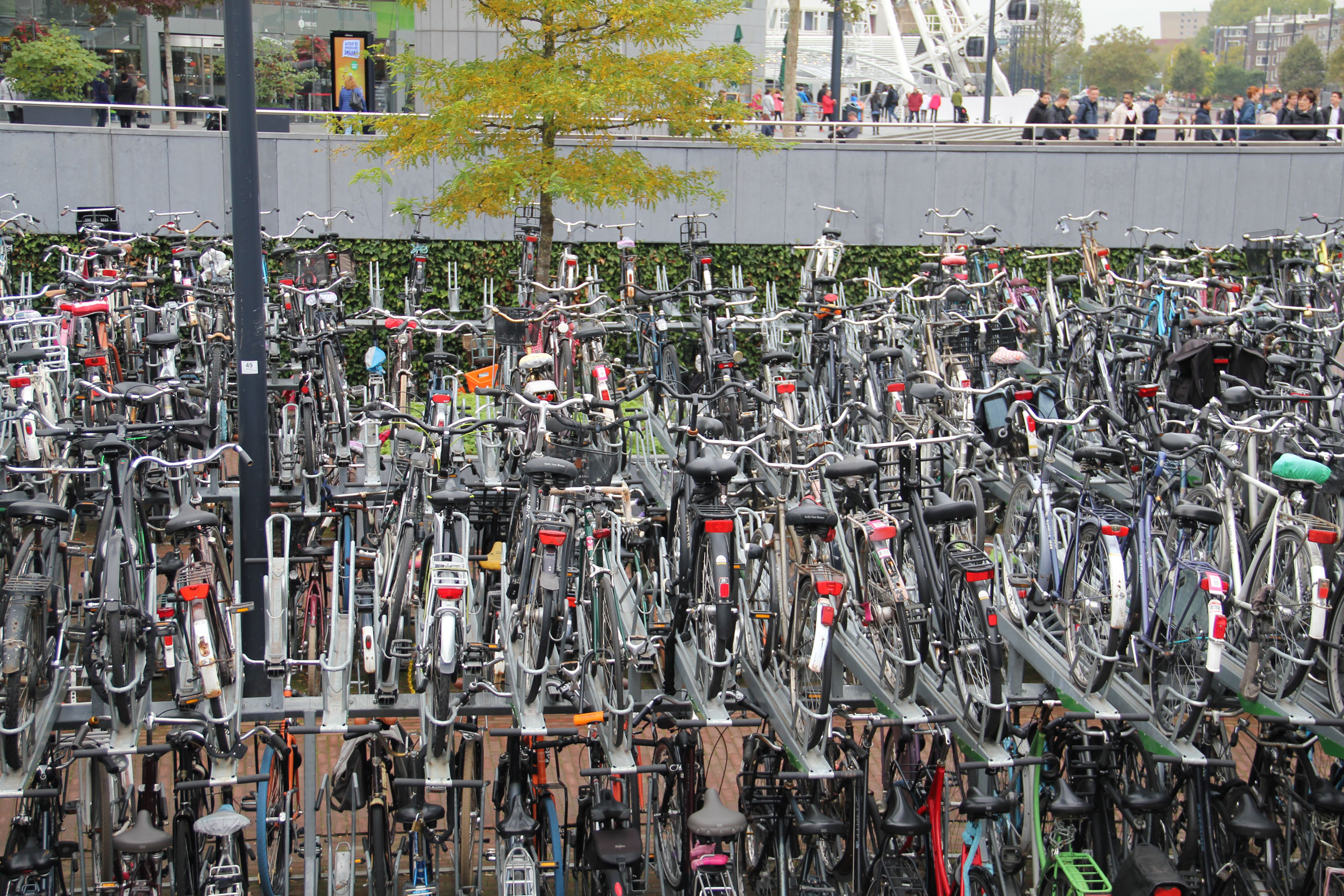 Fahrraeder in Rotterdamm